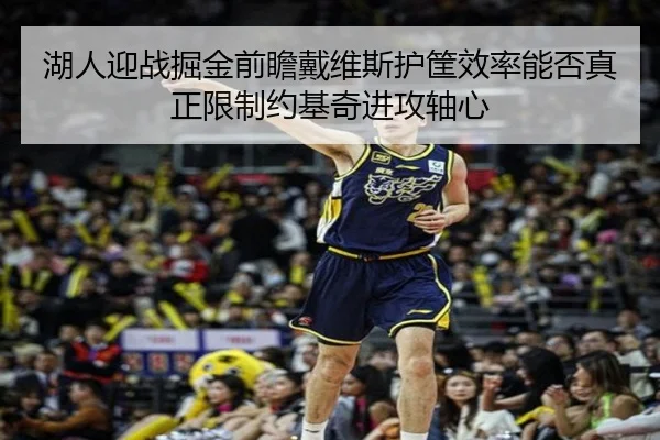 湖人迎战掘金前瞻戴维斯护筐效率能否真正限制约基奇进攻轴心
