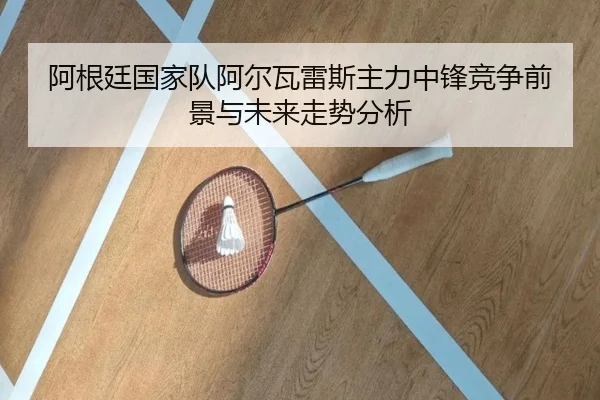 阿根廷国家队阿尔瓦雷斯主力中锋竞争前景与未来走势分析