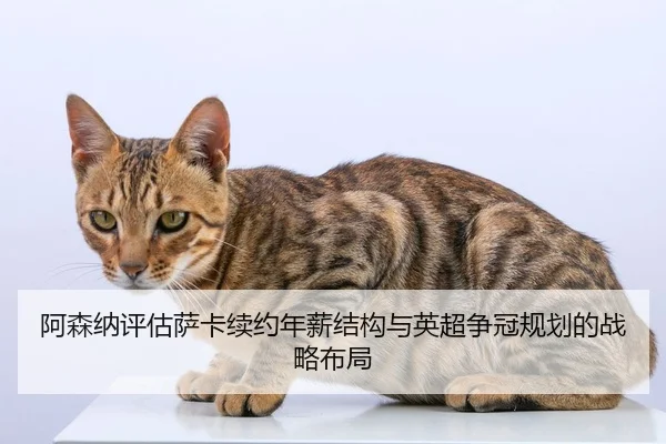 阿森纳评估萨卡续约年薪结构与英超争冠规划的战略布局