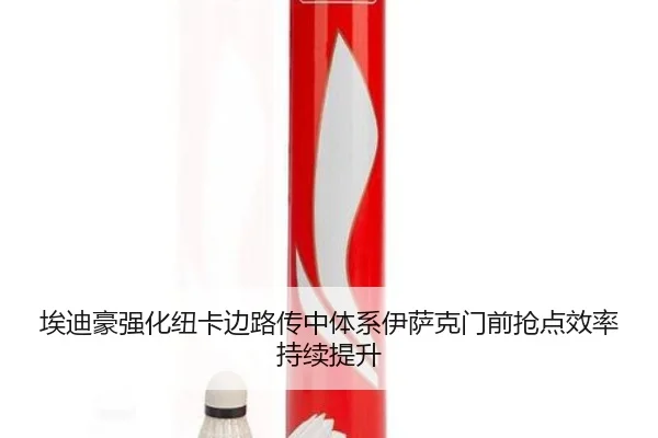 埃迪豪强化纽卡边路传中体系伊萨克门前抢点效率持续提升
